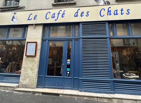 Le menu sur QR Code de TastyCloud au Café des Chats à Bastille